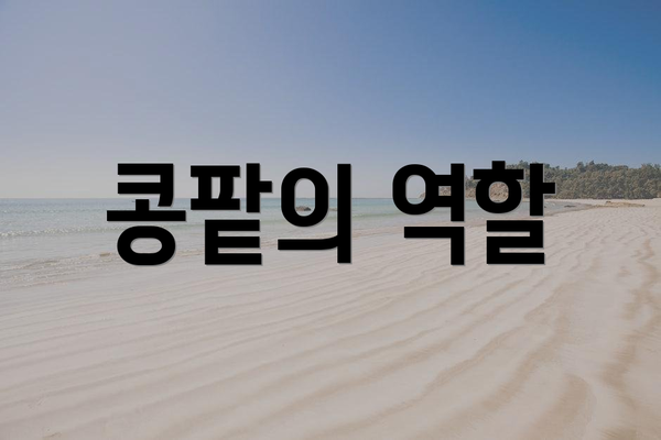 콩팥의 역할