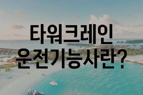 타워크레인 운전기능사란?
