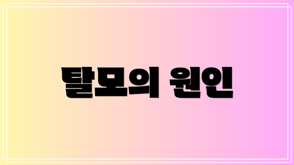 탈모의 원인