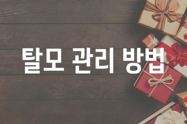 탈모 관리 방법