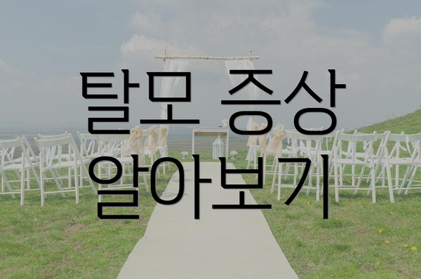탈모 증상 알아보기