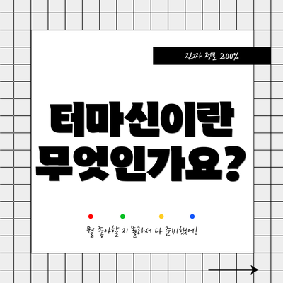 터마신이란 무엇인가요?