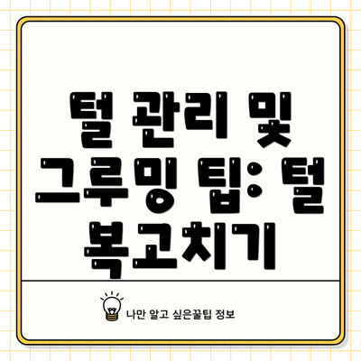 털 관리 및 그루밍 팁: 털 복고치기