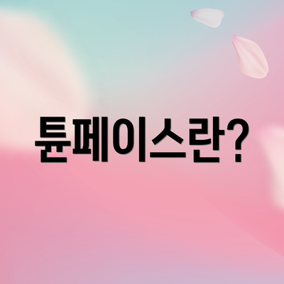 튠페이스란?