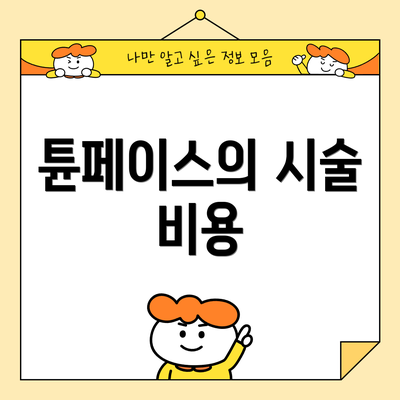 튠페이스의 시술 비용