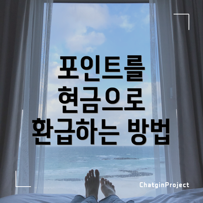 포인트를 현금으로 환급하는 방법