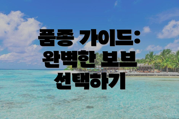 품종 가이드: 완벽한 보브 선택하기