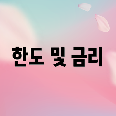 한도 및 금리
