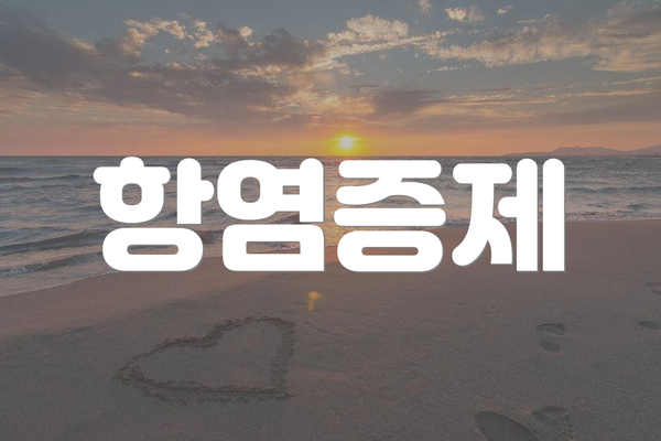 항염증제
