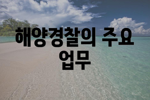해양경찰의 주요 업무