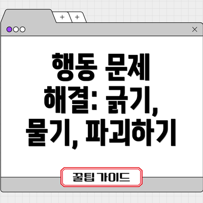 행동 문제 해결: 긁기, 물기, 파괴하기