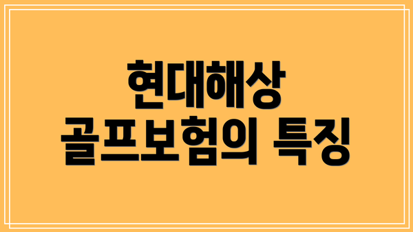 현대해상 골프보험의 특징