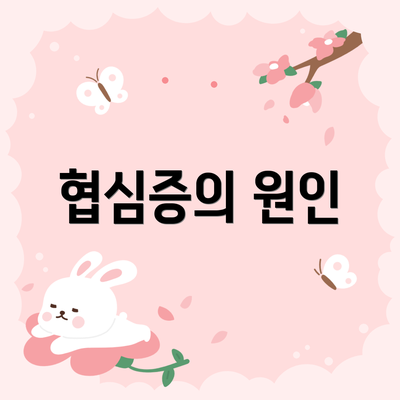 협심증의 원인