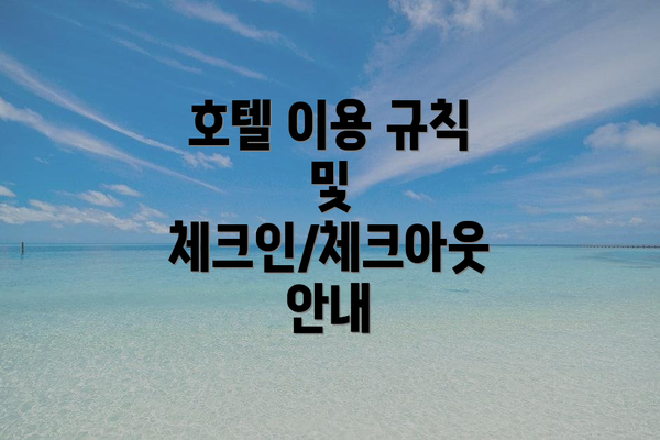 호텔 이용 규칙 및 체크인/체크아웃 안내