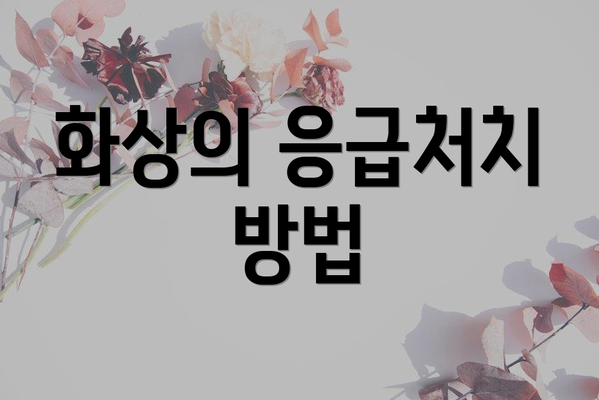 화상의 응급처치 방법
