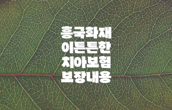 흥국화재 이튼튼한 치아보험 보장내용