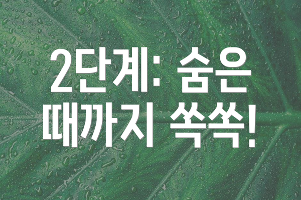 2단계: 숨은 때까지 쏙쏙!