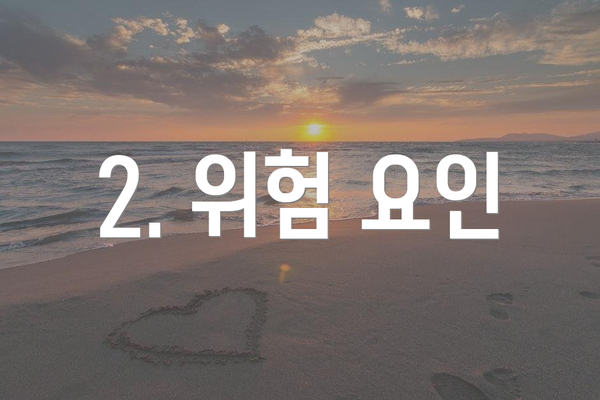 2. 위험 요인