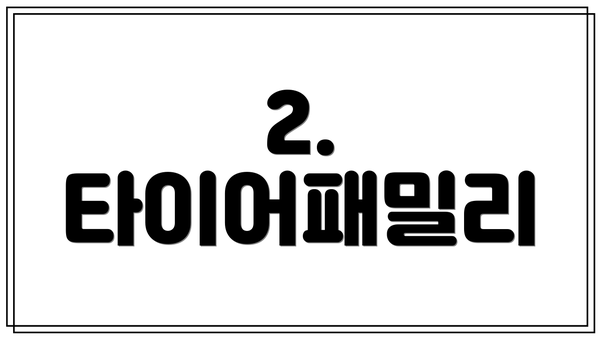 2. 타이어패밀리