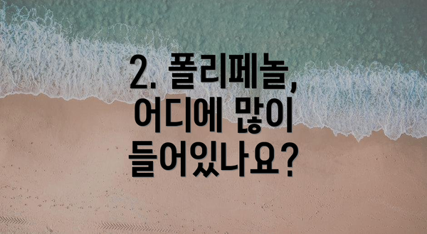 2. 폴리페놀, 어디에 많이 들어있나요?