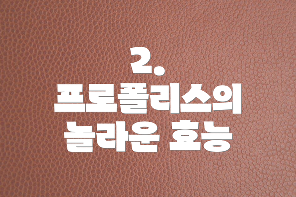 2. 프로폴리스의 놀라운 효능