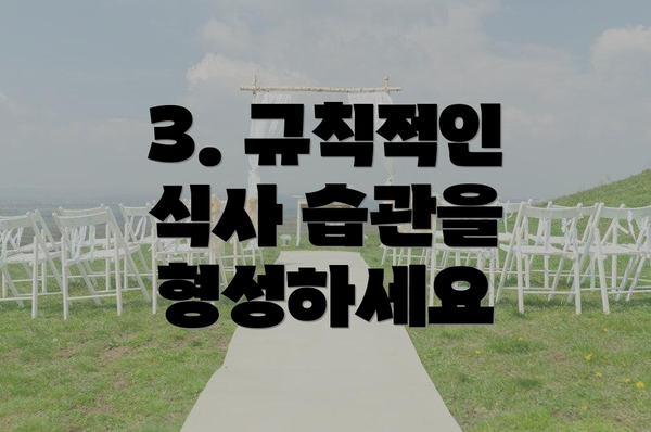 3. 규칙적인 식사 습관을 형성하세요