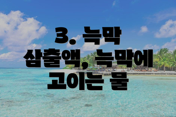 3. 늑막 삼출액, 늑막에 고이는 물