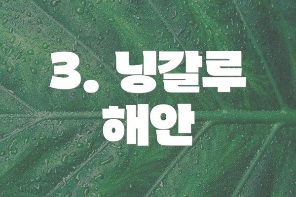 3. 닝갈루 해안