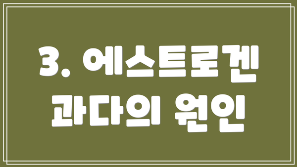 3. 에스트로겐 과다의 원인