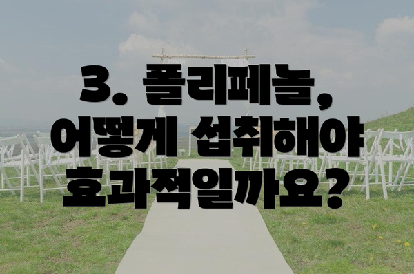 3. 폴리페놀, 어떻게 섭취해야 효과적일까요?