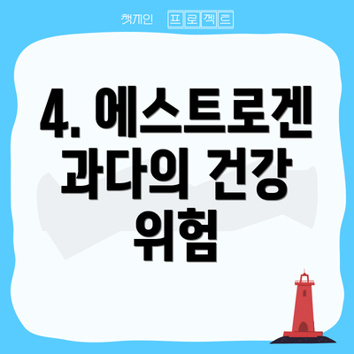 4. 에스트로겐 과다의 건강 위험
