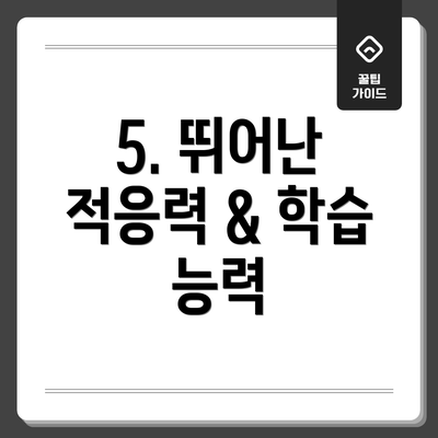 5. 뛰어난 적응력 & 학습 능력