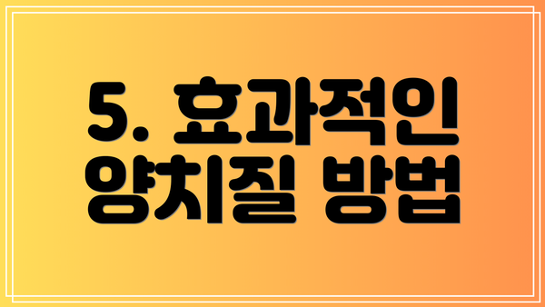 5. 효과적인 양치질 방법