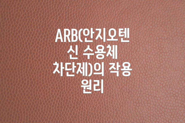 ARB(안지오텐신 수용체 차단제)의 작용 원리