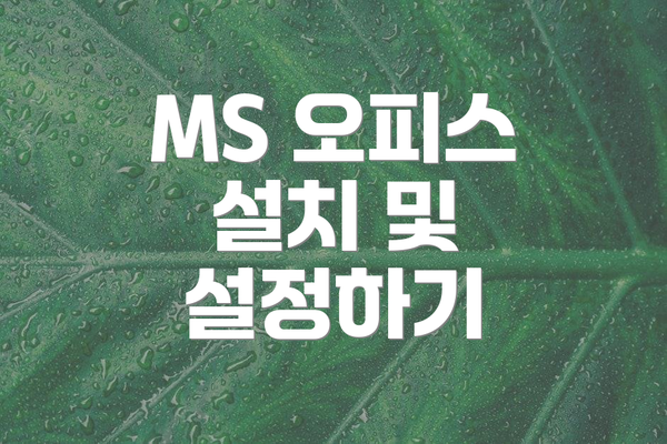 MS 오피스 설치 및 설정하기