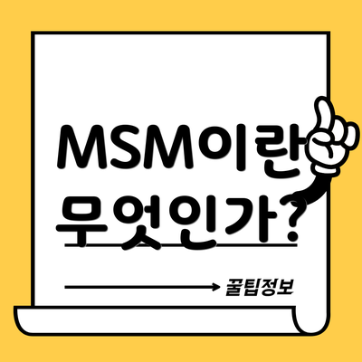 MSM이란 무엇인가?