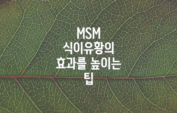 MSM 식이유황의 효과를 높이는 팁