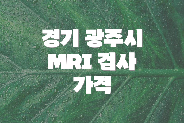 경기 광주시 MRI 검사 가격