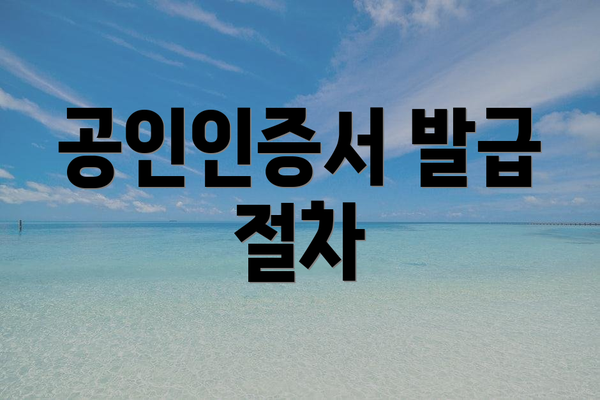 공인인증서 발급 절차