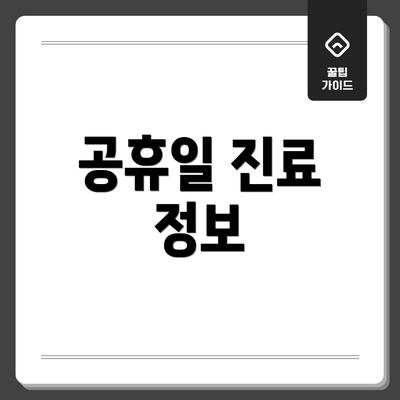 공휴일 진료 정보
