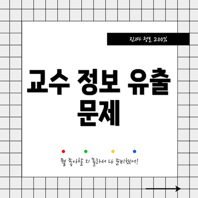 교수 정보 유출 문제