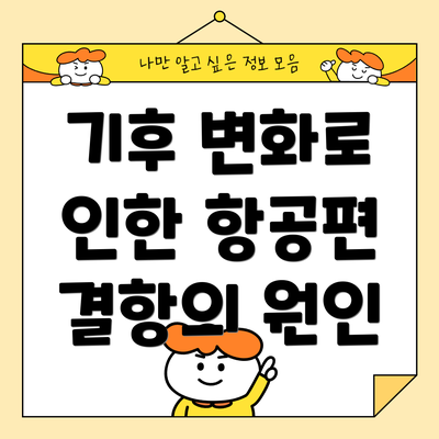 기후 변화로 인한 항공편 결항의 원인