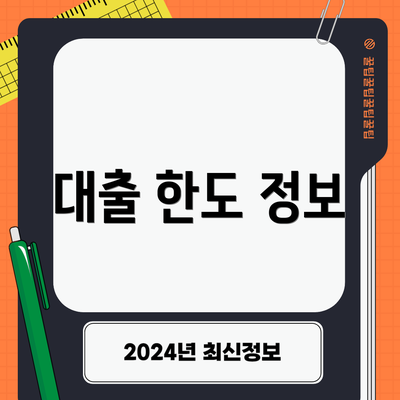 대출 한도 정보
