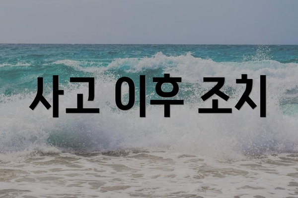 사고 이후 조치