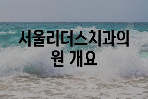 서울리더스치과의원 개요