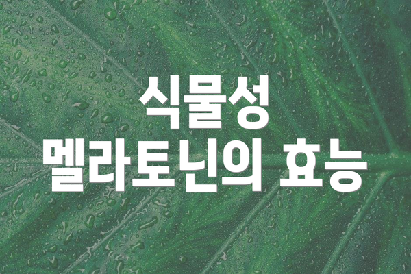 식물성 멜라토닌의 효능