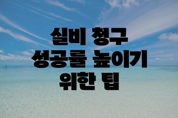 실비 청구 성공률 높이기 위한 팁