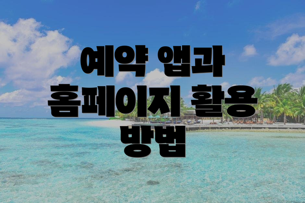 예약 앱과 홈페이지 활용 방법