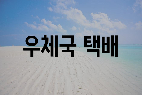 우체국 택배