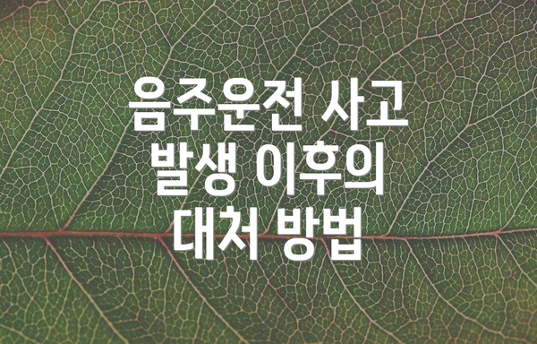 음주운전 사고 발생 이후의 대처 방법